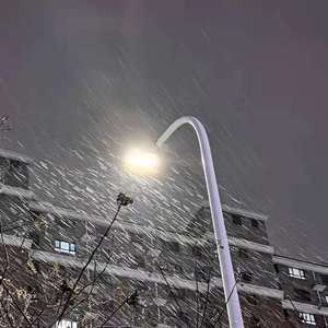 系统给我cao到崩溃H男男
